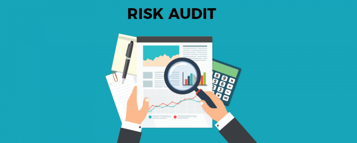 Risk Audit - Risk Assessment Matrix